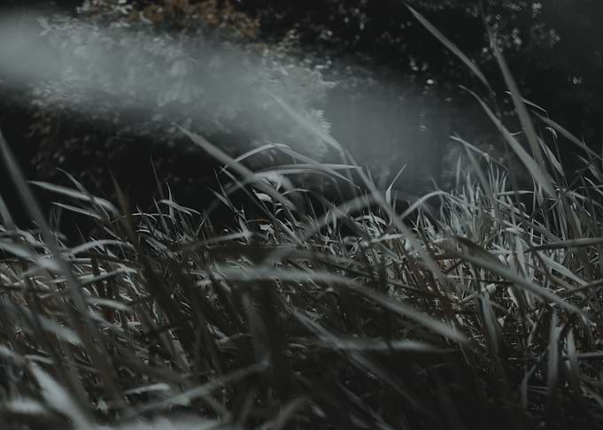Abstract Field