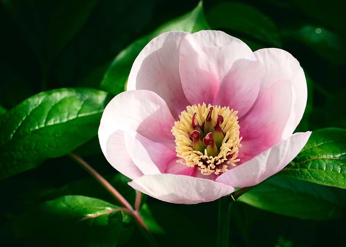 Invitation 4 Meditation 1