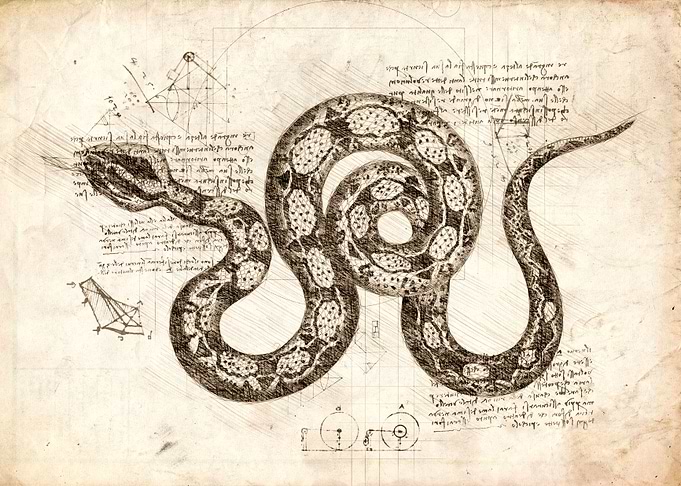 Snake sketch