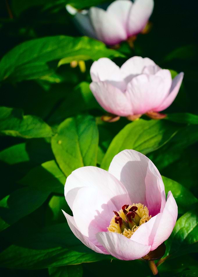 Invitation 4 Meditation 4