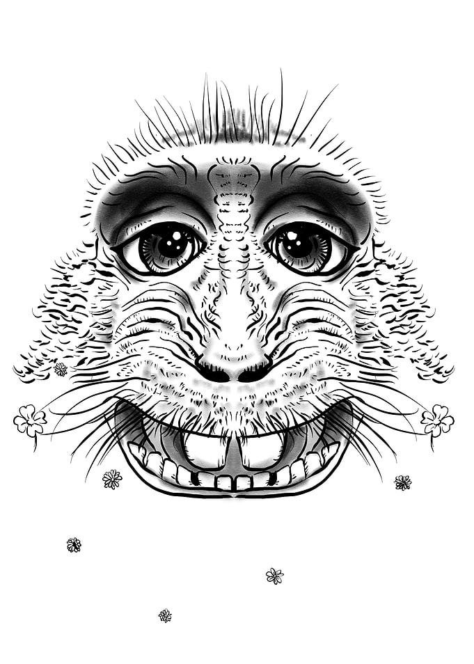 A self-portrait monkey
