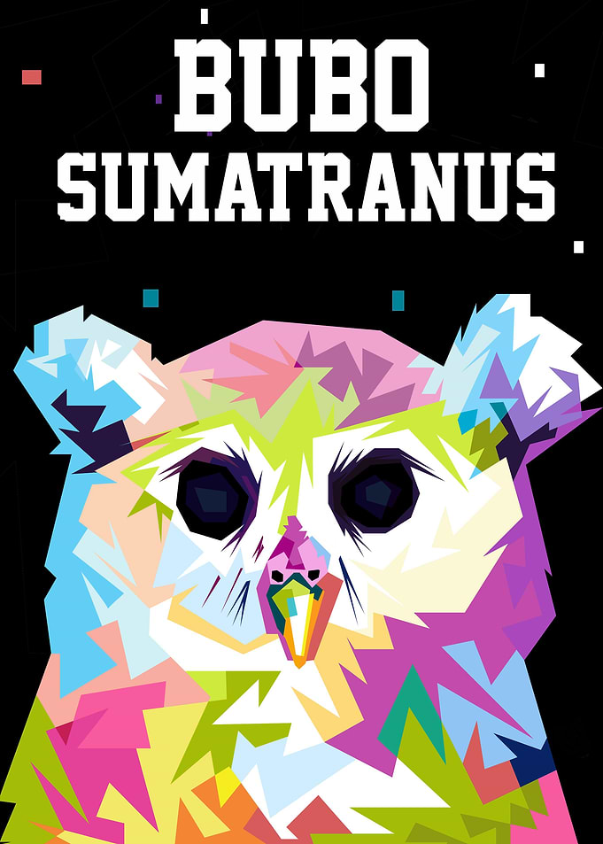 The Cute Owl WPAP