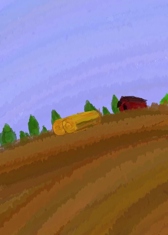 Wheat fields