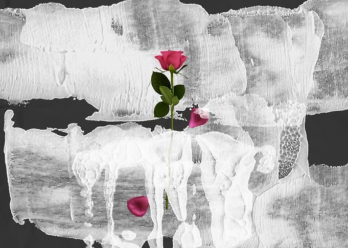 The desire roses