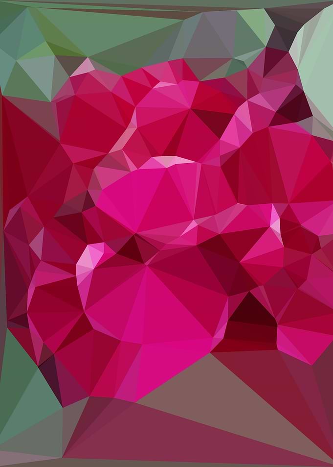 Rose2