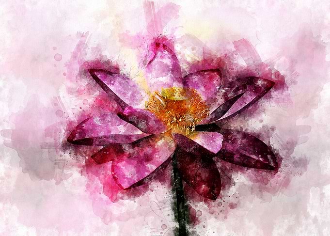 Lotus Flower