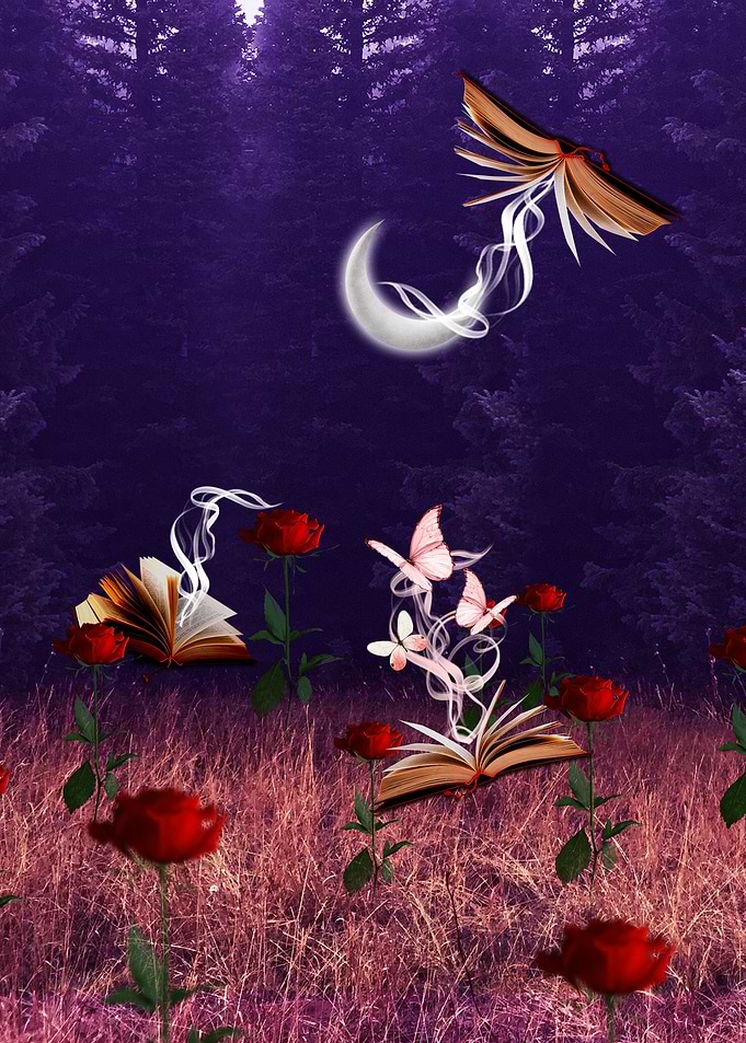 WOnderland