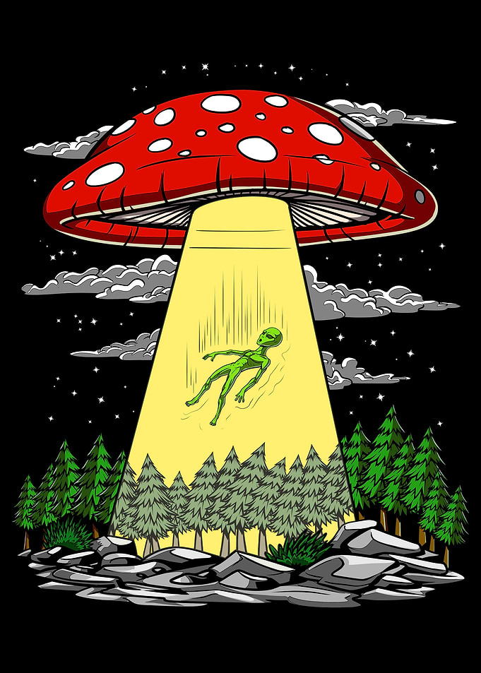 Mushroom Alien Abduction