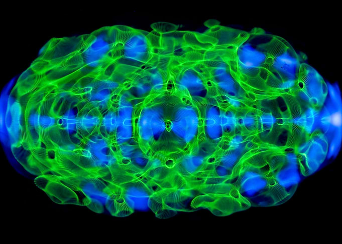 Diatom 5
