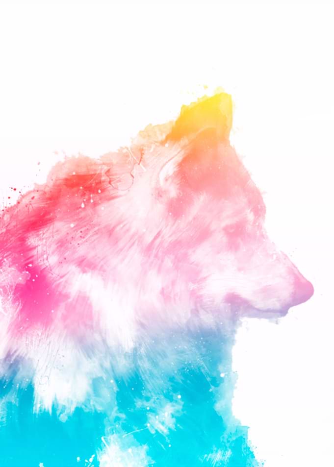 Wolf Color 2