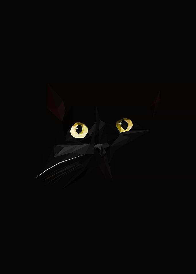 black cat