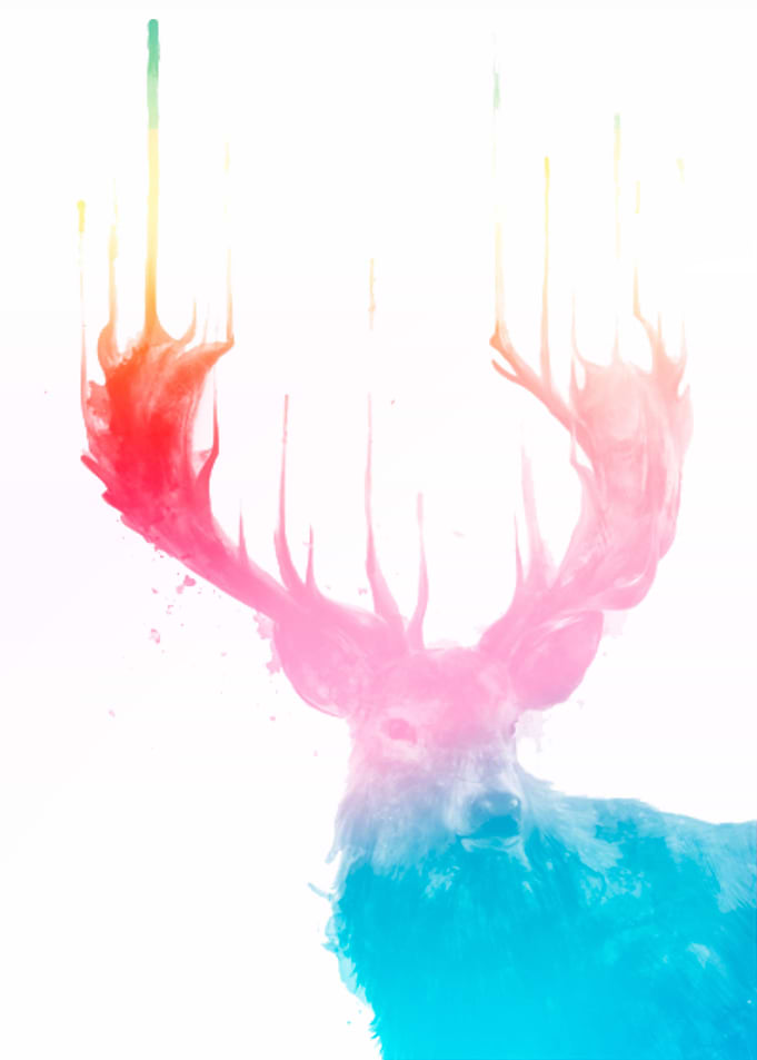 Moose Color