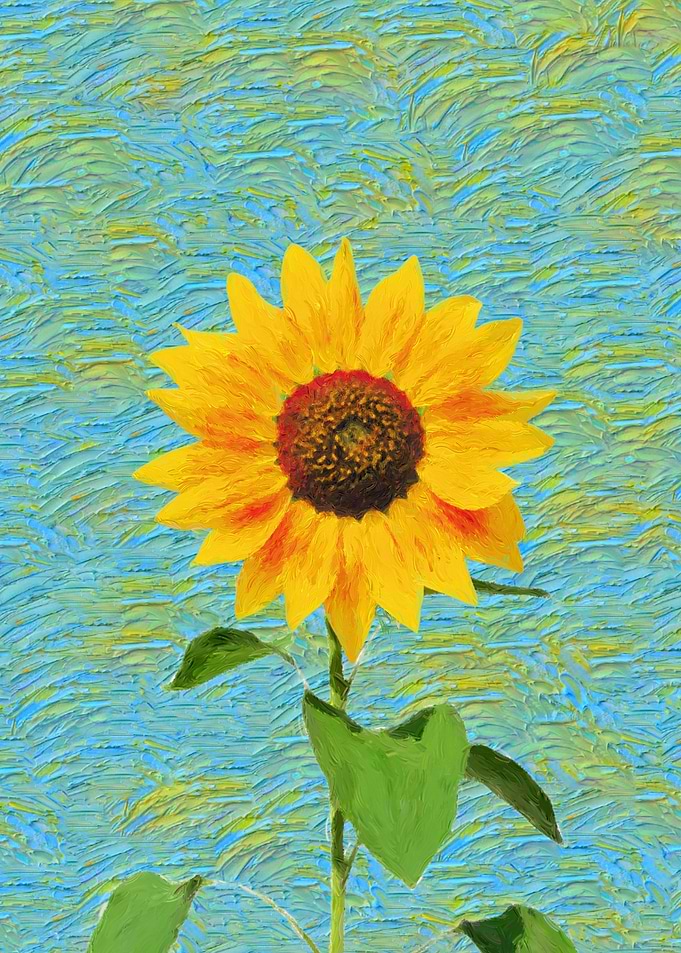 Sunflower flower