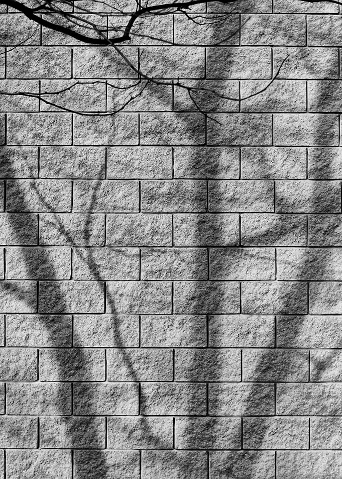 Shadows