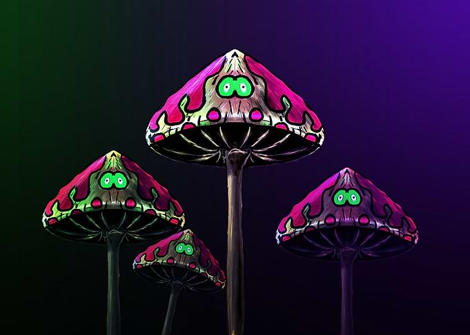 Mushrooms Stare