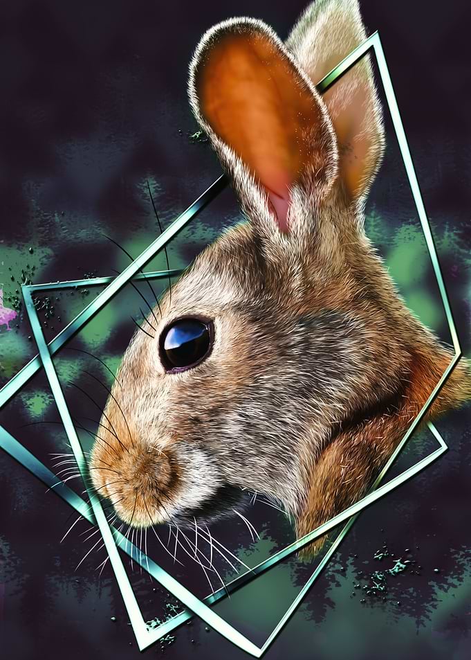 Hare Rabbit