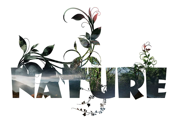 The Nature
