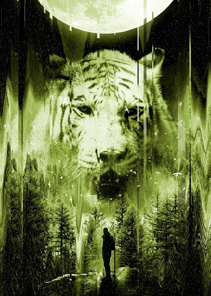 The Watcher