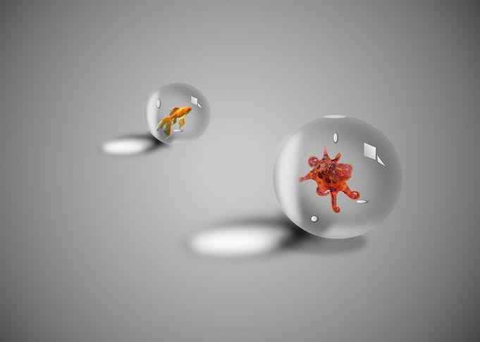 Gray bubbles