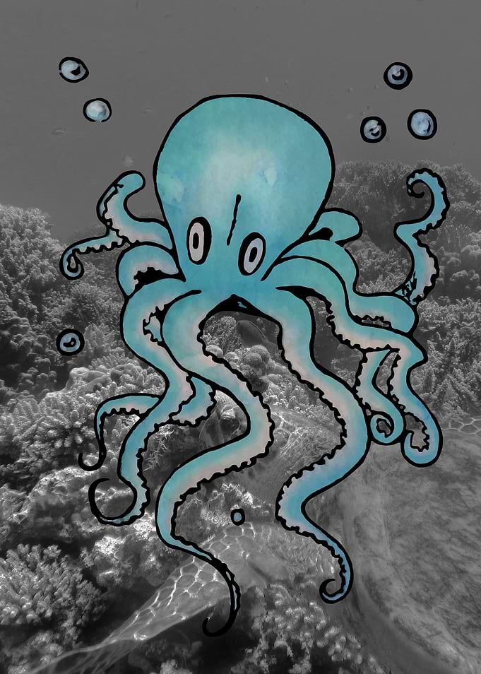 Octopus