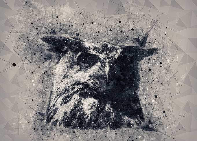 The wisdom of owl