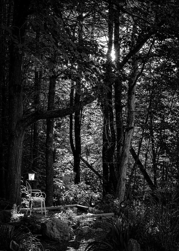 Empty Chair Bird Feeder