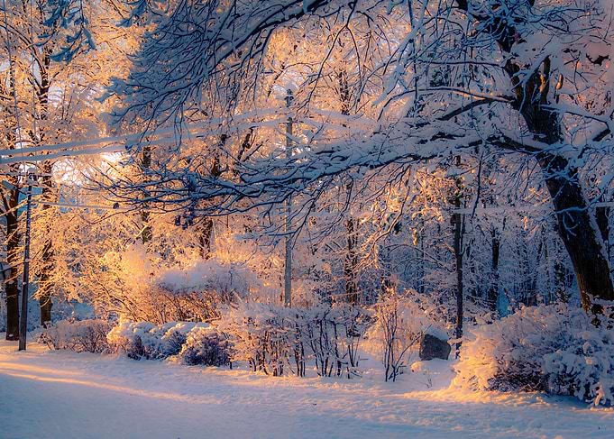 Winter Sunset