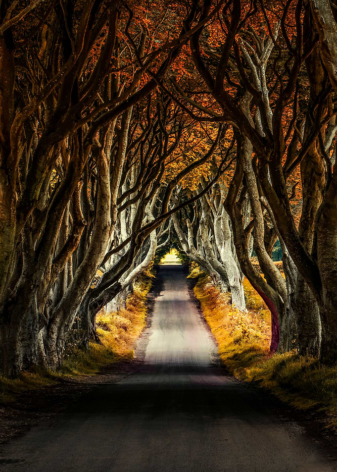 When autumn comes