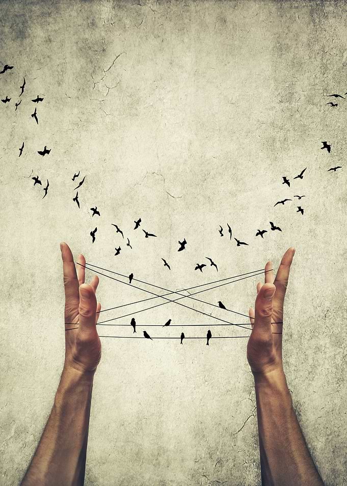 not meant to be caged