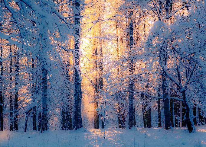 The Golden Dust