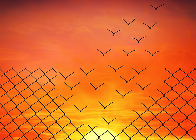 sunset escape