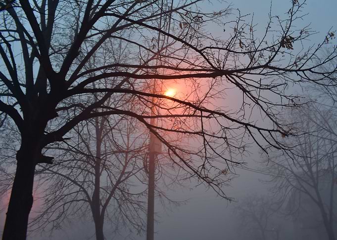 foggy night