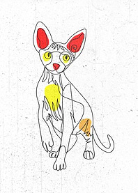 Sphynx Cat