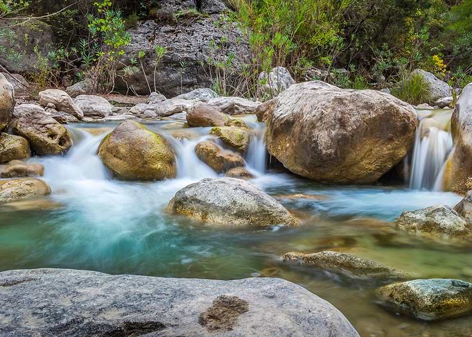 Nature Dualism