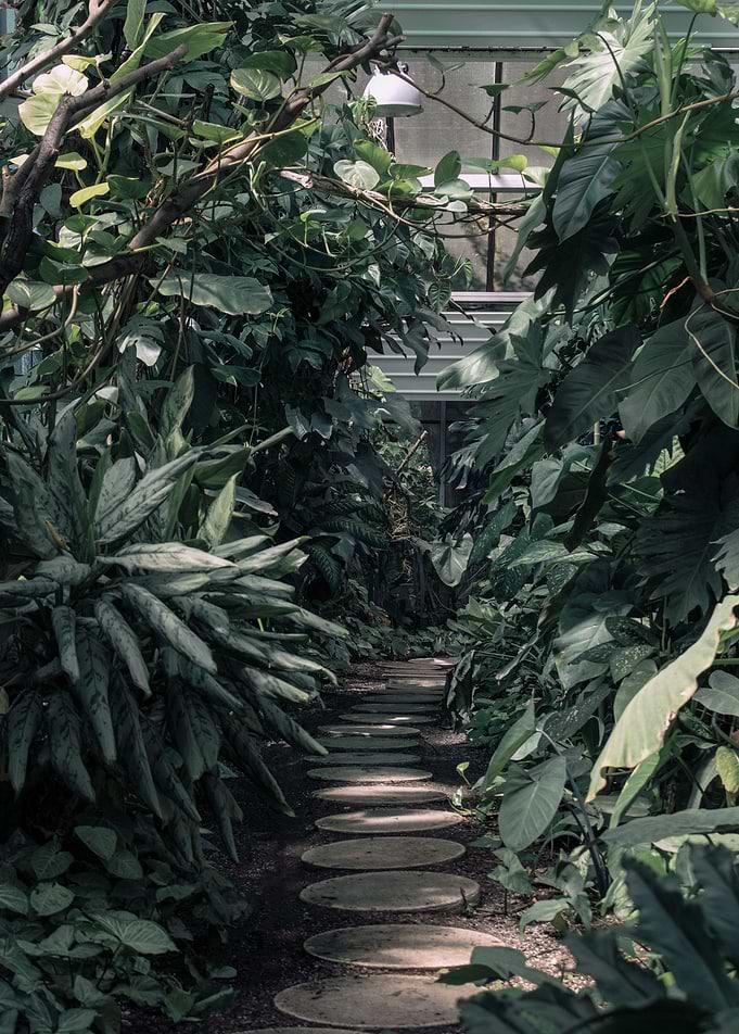 Greenhouse in Budapest