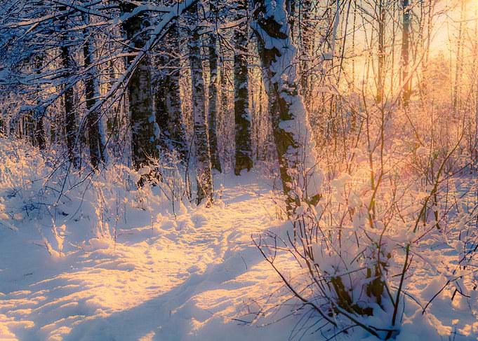 A Path to the Sun