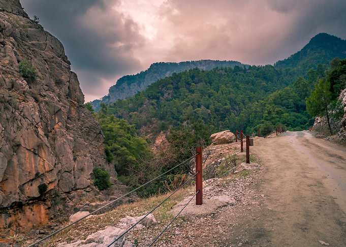 Stony Road