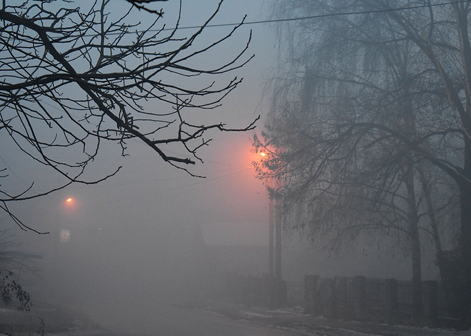 foggy night