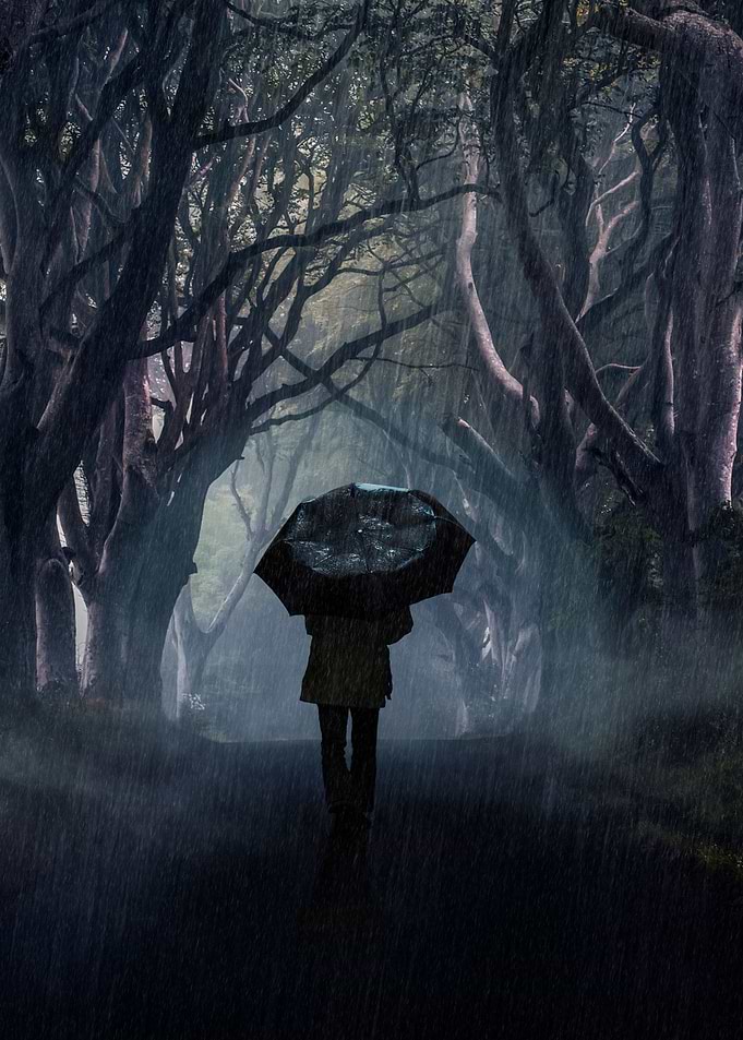 Evening walk in the rain
