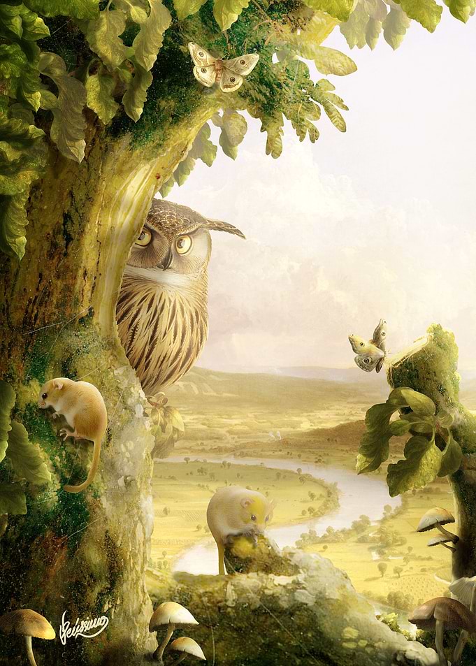 Hoo Hooo