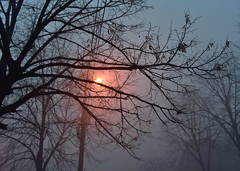 foggy night