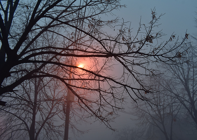 foggy night