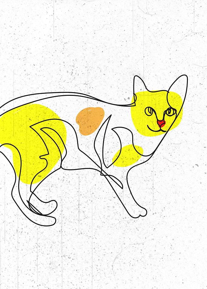 Pet Cat