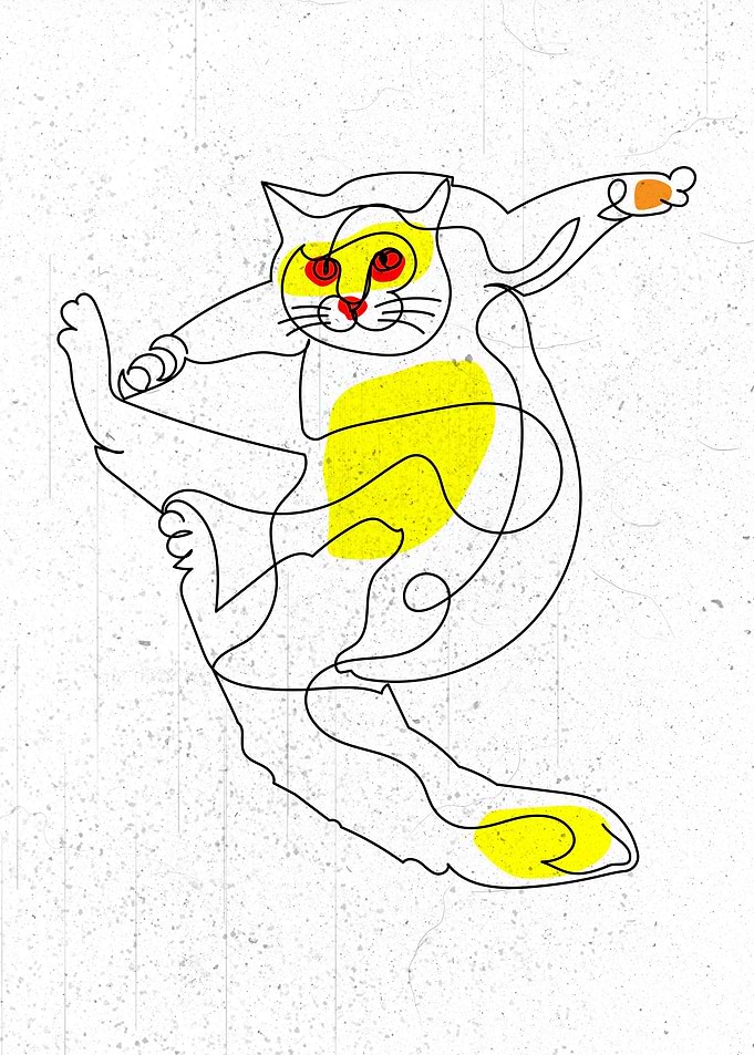 Acrobatic Cat