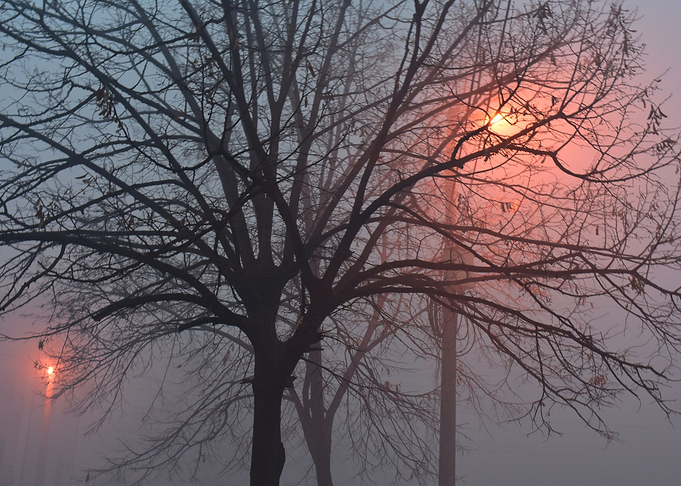 foggy night