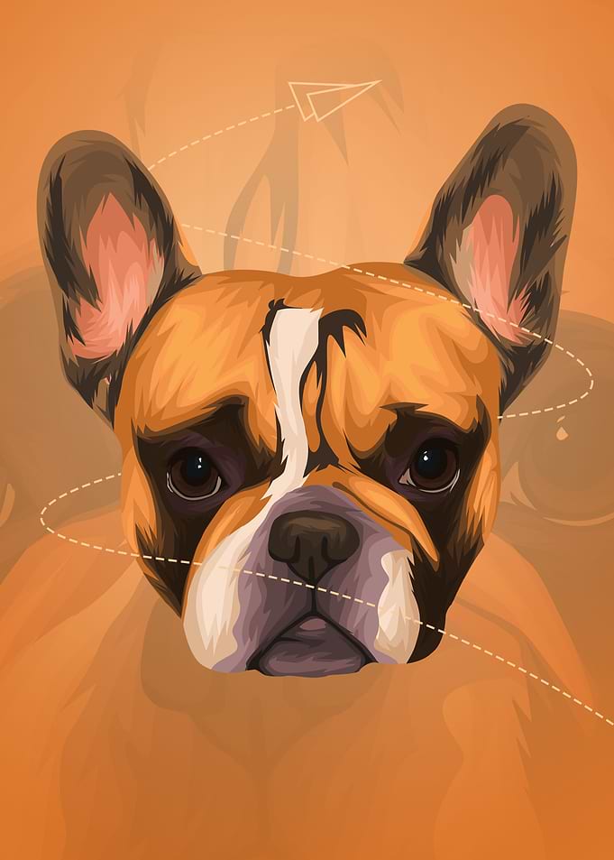 Bown Coffe Doggo