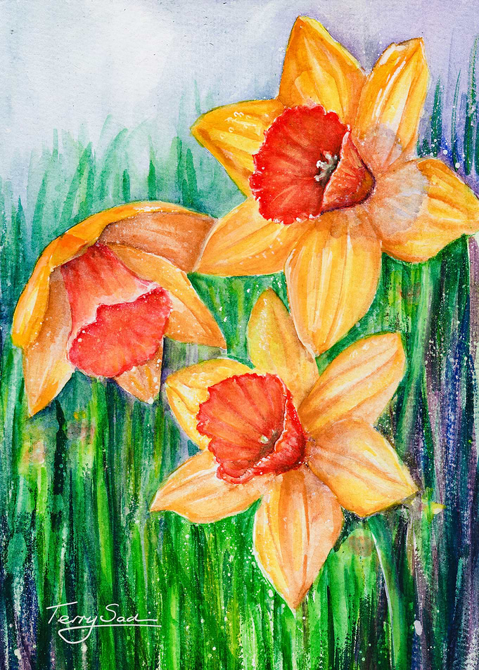 Daffodils
