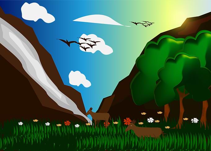 Nature