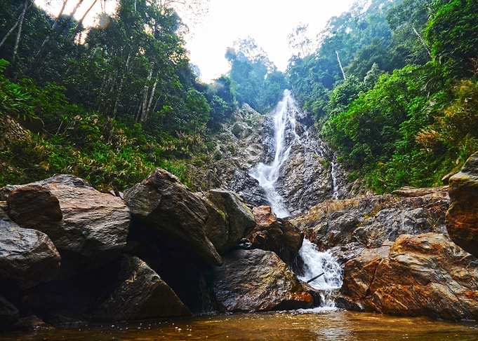 Latar kijang