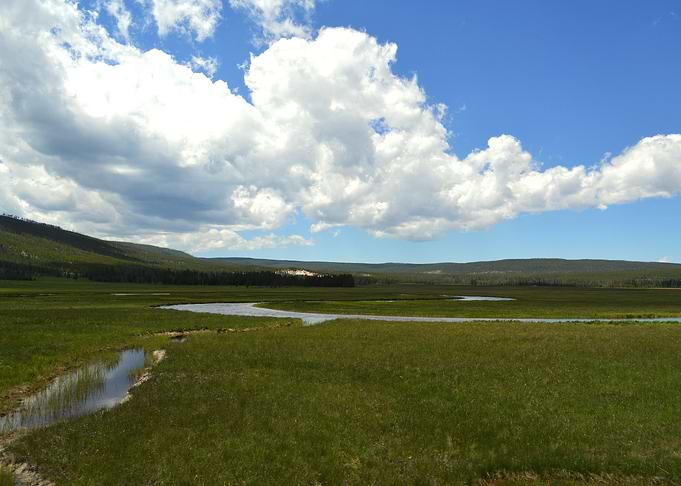 Yellowstone 7